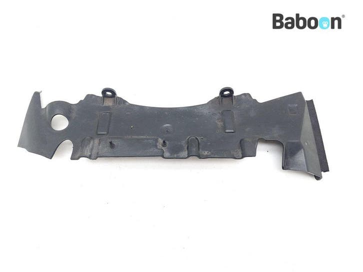 Radiateurkap BMW K 1300 S (K1300S), Motoren, Onderdelen | BMW, Gebruikt, Verzenden