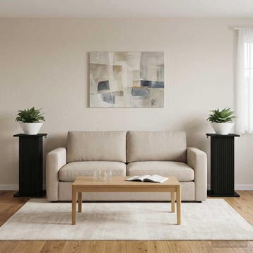 vidaXL Plantenstandaard 2 st Zwart 30,5 x 30 x 60,5 cm, Verzenden, Nieuw