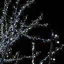 Professionele kerstverlichting voor de Hovenier koppelbaar, Ophalen of Verzenden, Nieuw