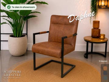Eetkamerstoel Daphne, Huis en Inrichting, Stoelen, Nieuw, Overige kleuren, Eén