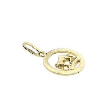 Gouden sterrenbeeld hanger; Steenbok (Hanger of bedel), Sieraden, Tassen en Uiterlijk, Bedels, Ophalen of Verzenden, Gebruikt