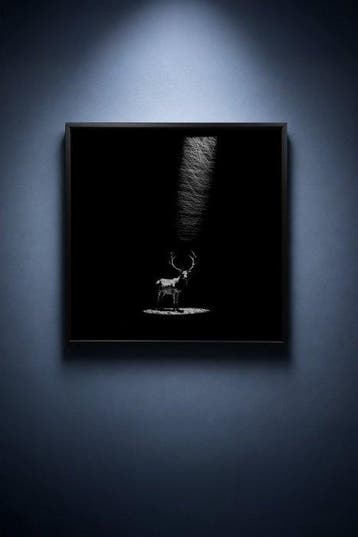 Tijs Dragtsma (1992) - Crowned in Falling Light
