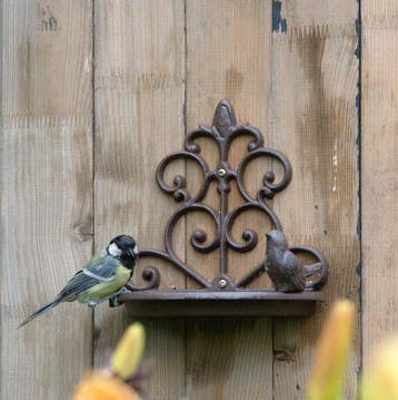 Vogelbad - Gietijzer - voederhuisje voor vogels, Antiek en Kunst