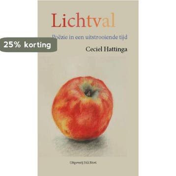 Lichtval - Ceciel Hattinga 9789078094739, Verzenden, Gelezen, Ceciel Hattinga