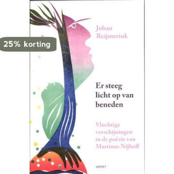Er steeg licht op van beneden 9789461531070 Johan Reijmerink, Boeken, Verzenden, Zo goed als nieuw, Johan Reijmerink