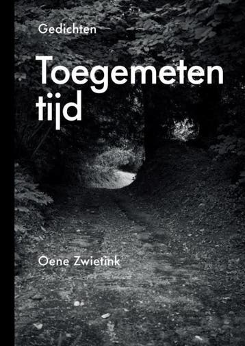 Toegemeten tijd 9789465206165 Oene Zwietink, Verzenden, Gelezen, Oene Zwietink