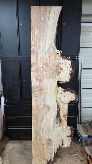 Unieke kastanje schaaldelen met burl, ideaal voor epoxytafel, Ophalen, Nieuw, 200 tot 250 cm, Plank