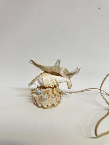 schelp Zeeschelp - Seashell Table Lamp (Zonder minimumprijs), Verzamelen, Nieuw