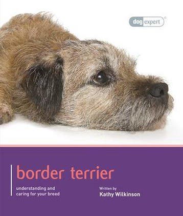 Border Terrier - Dog Expert - Kathy Wilkinson 9781906305666, Verzenden, Gelezen, Kathy Wilkinson