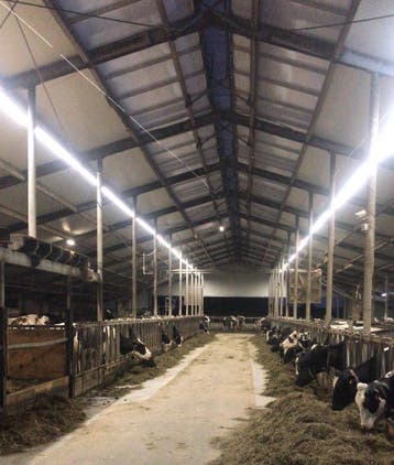 HEAVY DUTY INDUSTRIE LED LICHTLIJN 10 meter 114W 19.000...., Diversen, Nieuw