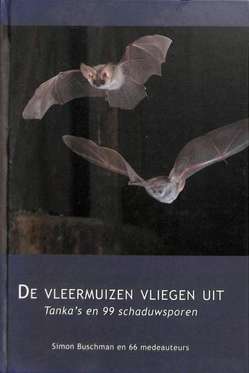 De vleermuizen vliegen uit - Simon Buschman 9789079910007, Boeken, Verzenden, Zo goed als nieuw, Simon Buschman