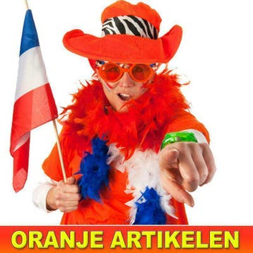 Oranje artikelen - Mega aanbod oranje artikelen, Hobby en Vrije tijd, Feestartikelen, Ophalen of Verzenden, Nieuw, Feestartikel