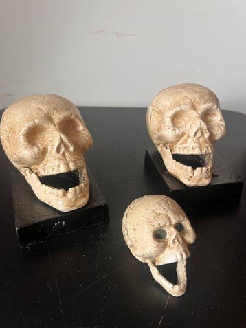 Collectie van memorabilia