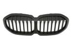 Sportgrille mat zwart, geschikt voor BMW 1-serie F40, Ophalen of Verzenden