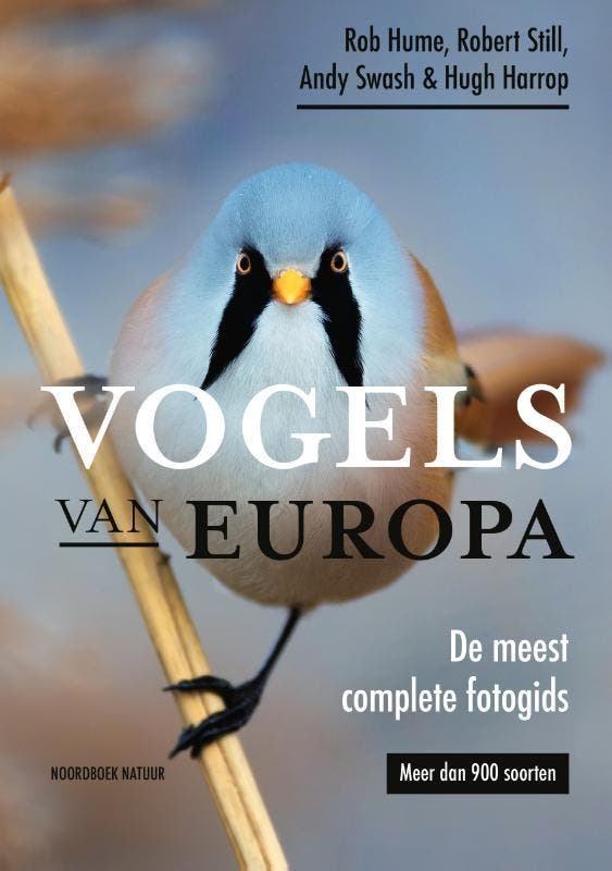 Vogels Van Europa | Nieuw, Boeken, Overige Boeken, Nieuw, Ophalen of Verzenden