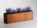 Adeqo cortenstaal plantenbak rechthoek 200 x 50 x 50 cm, 100 cm of meer, Verzenden, Nieuw, Metaal