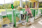 Standpaal voorzijde t.b.v. groene Patura kalverbox
