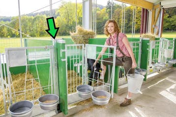 Standpaal voorzijde t.b.v. groene Patura kalverbox