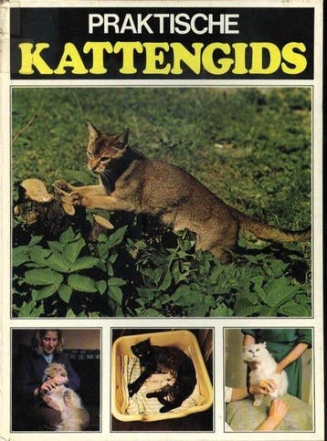 Praktische kattengids - Raleigh, Boeken, Verzenden, Gelezen