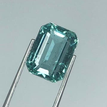 Zonder minimumprijs Groen Smaragd - 3.83 ct - International, Nieuw