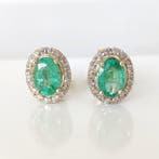 Zonder minimumprijs - Oorbellen - 14 karaat Herkomst:, Nieuw