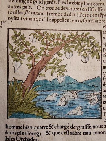 Sebastian Münster (1489–1552) - Cosmographie Universelle -