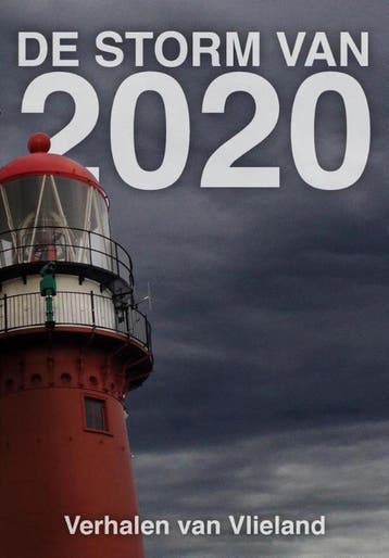 De storm van 2020 - Elly Godijn 9789493157545, Verzenden, Gelezen, Elly Godijn