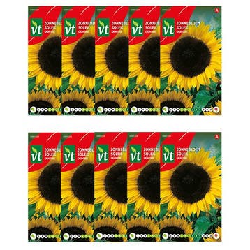 Bloemzaden zonnebloem | VT | 10 stuks, Tuin en Terras, Verzenden