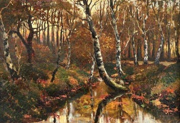 Cornelis Kuypers ( 1864 - 1932 ) - Paisaje boscoso de la