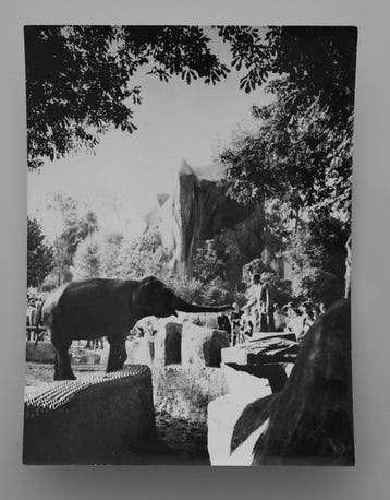 Jean Ribiere (1922 - 1989) - Zoo de Vincennes 1964, Antiek en Kunst