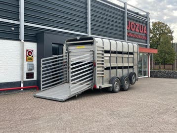 Veetrailer Ifor Williams TA510G14/7 Dubbeldek 2015, Ophalen, Gebruikt