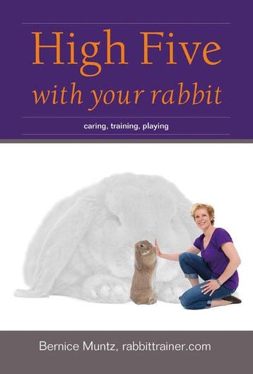High five with your rabbit 9789081771320 Bernice Muntz, Verzenden, Gelezen, Bernice Muntz