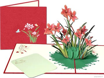 Roze Narcissen in het Veld | Bloemen pop-up kaart, Verzenden, Nieuw