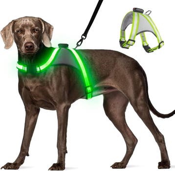 Hondenvest led maat m | retourdeal 34% korting, Dieren en Toebehoren, Honden-accessoires, Ophalen of Verzenden, Nieuw