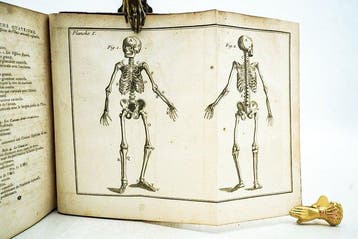 M. Person & M Jean-Baptiste Bruny - Élemens danatomie