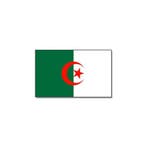 Gevelvlag/vlaggenmast vlag Algerije 90 x 150 cm - Algerije.., Ophalen of Verzenden, Nieuw