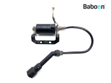 Bobine Royal Enfield Himalayan 410 2017-2020, Verzenden, Gebruikt