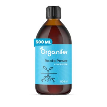 Wortelstimulator - Roots Power Concentraat - 500 ml, Verzenden, Mest