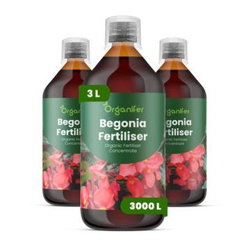 Vloeibare meststof voor begonia - 3x1 liter, Verzenden, Mest