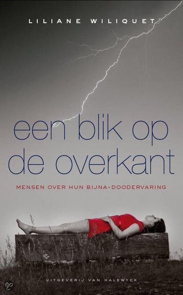 Een blik op de overkant 9789056177966 L. Wiliquet, Boeken, Verzenden, Gelezen, L. Wiliquet