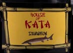 House of Kata Sturgeon 2,5 liter steurvoer (Koivoer), Verzenden, Nieuw, Overige typen