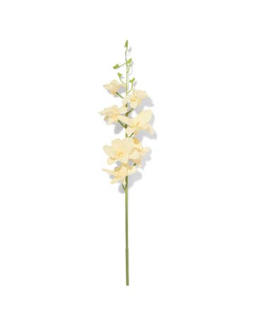 HEMA Kunstbloem dendrobium 55cm rubber wit, Huis en Inrichting, Kamerplanten, Verzenden