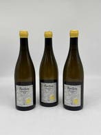 2023 Terra Vita Vinum Pavillon Blanc - Anjou - 3 Flessen, Verzamelen, Wijnen, Nieuw