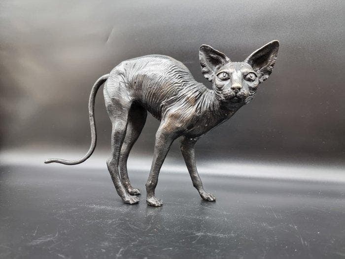 Beeld, Bronze Sphynx Cat Hand-Crafted - 21 cm - Brons - 2026, Antiek en Kunst, Kunst | Designobjecten
