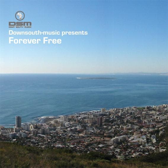 Ernst Schoemaker - Forever Free, Cd's en Dvd's, Vinyl | Pop, Gebruikt, Ophalen of Verzenden