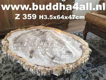 Versteend hout salontafel miljoenen jaar oud! Zeer exclusief, Overige materialen, Minder dan 50 cm, 50 tot 100 cm, Nieuw