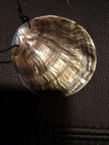 Gepolijst nautilus schelp met gaatje voor hanger of, Ophalen of Verzenden, Nieuw