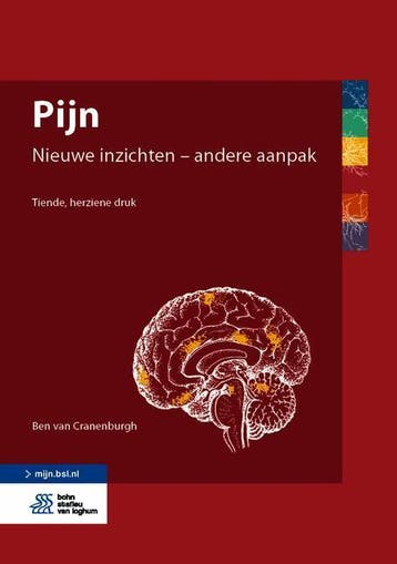 Pijn 9789036825917, Boeken, Zo goed als nieuw