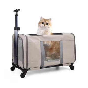 Kattenwagen met Wielen – Grote Transporttas voor 2 Katten, Verzenden, Nieuw
