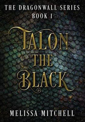 Boek Talon the Black 9780578465500, Verzenden, Zo goed als nieuw